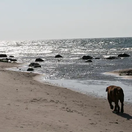 別荘 Wald & Direkt Am *