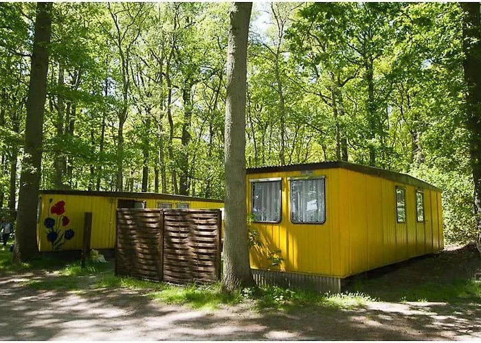 Wald&sand Direkt Am Ferienhaus