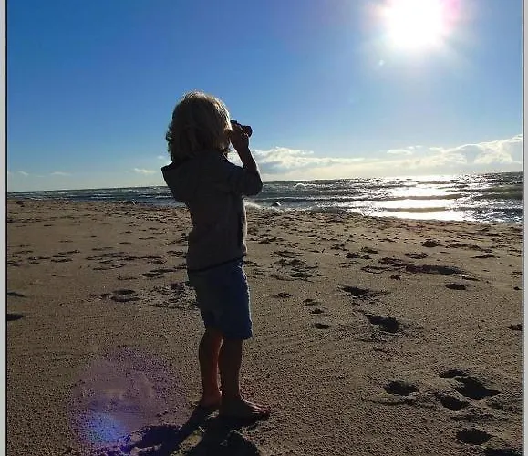 Ferienhaus Wald&sand Direkt Am