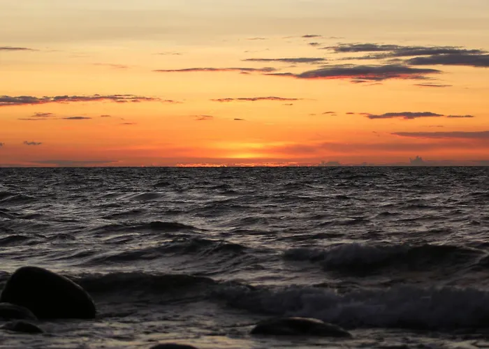 Ferienhaus Wald&sand Direkt Am