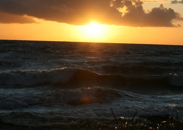 Ferienhaus Wald&sand Direkt Am *